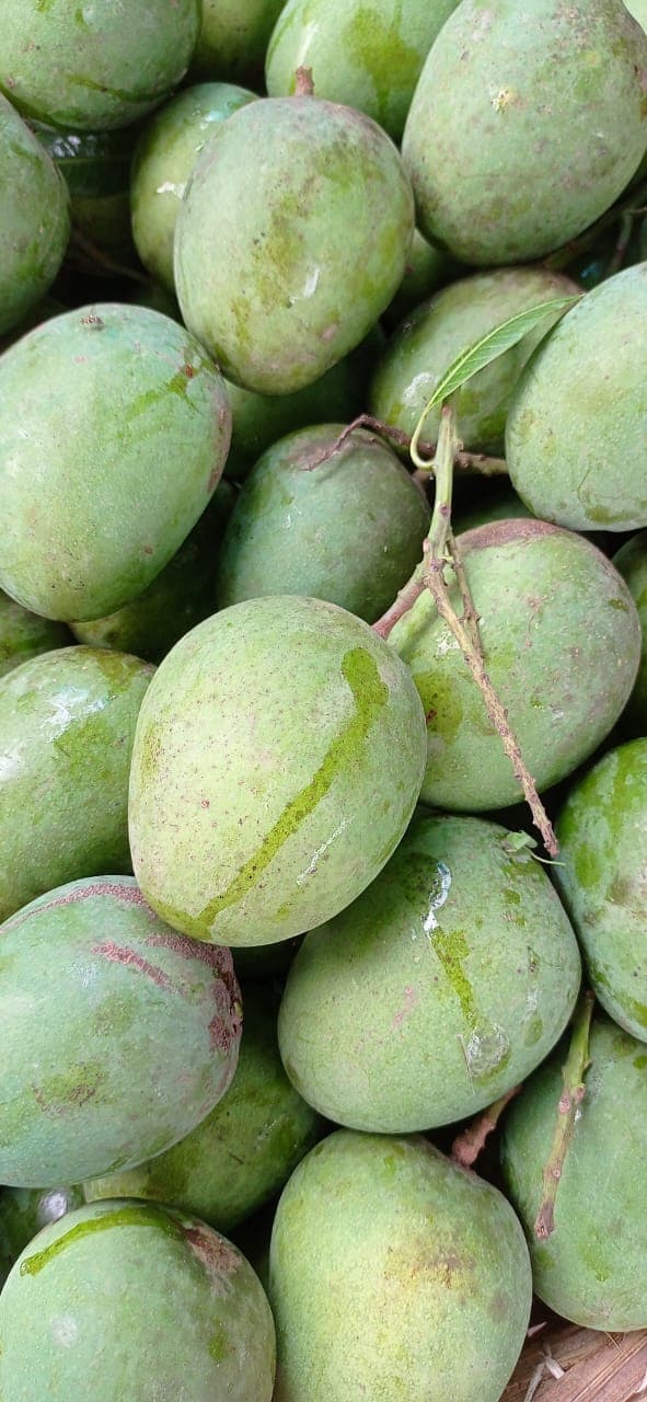 Mango slices